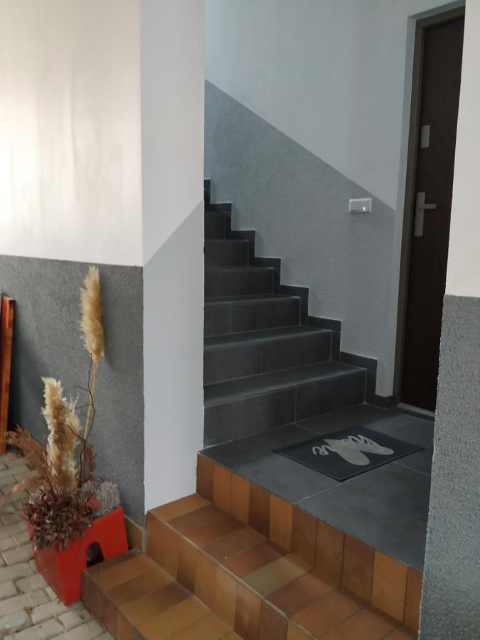 Ferienwohnung Mehrfamilien Haus Schkeuditz Exterior foto